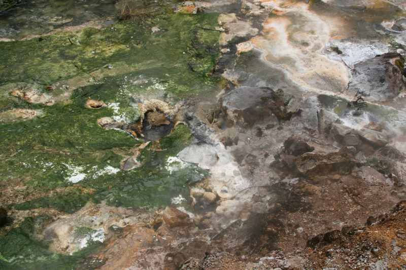 Nieuw-Zeeland 2011 - 0702